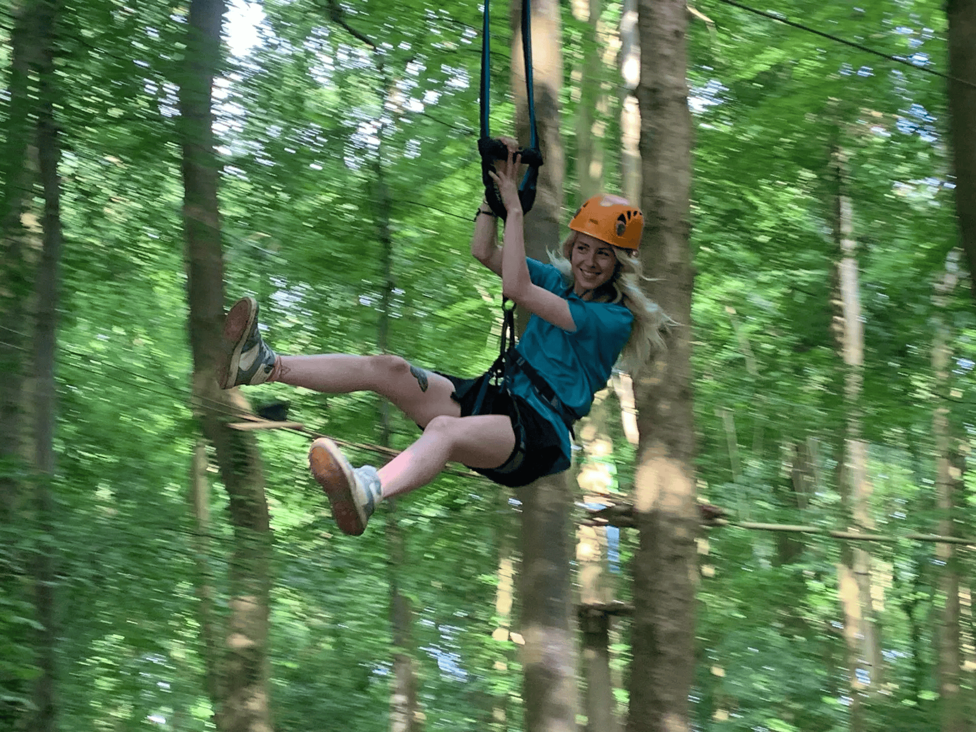Treetop zipline landing